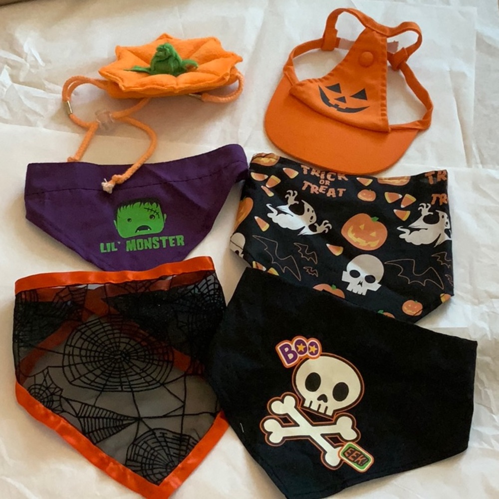 Bundle of Halloween Scarves and Hats for Dogs**